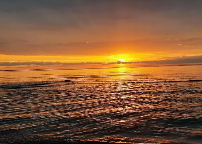 Flamingo Apartment *